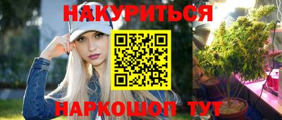 стаф Братск