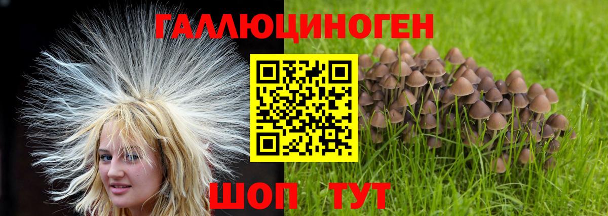 Галлюциногенные грибы мухоморы  Псилоцибиновые грибы Magic Shrooms  Гудермес  Вход с VPN 